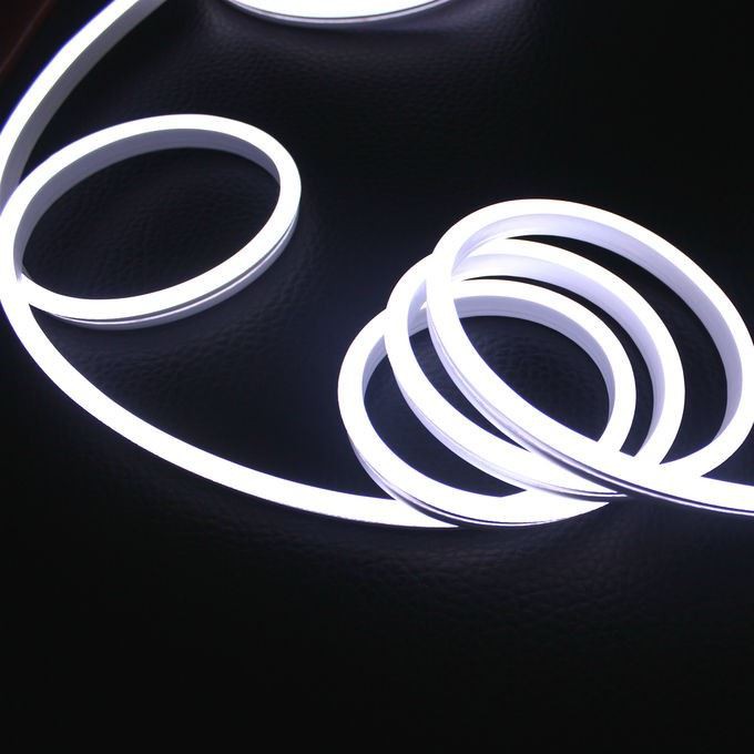 Strixxa LED Neon Mini